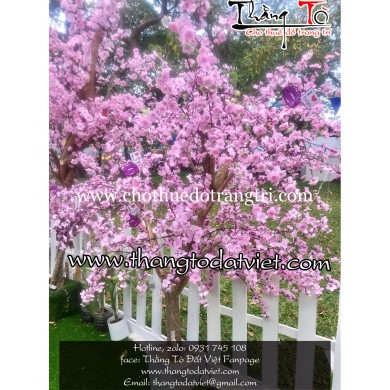 cho thuê cảnh Nhật Bản 8